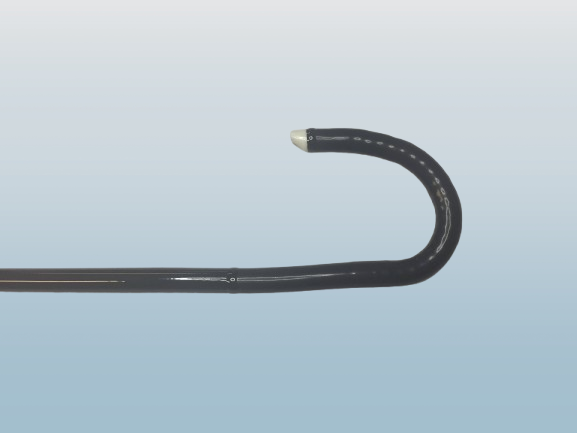 Flexible endoscope - 图片 2